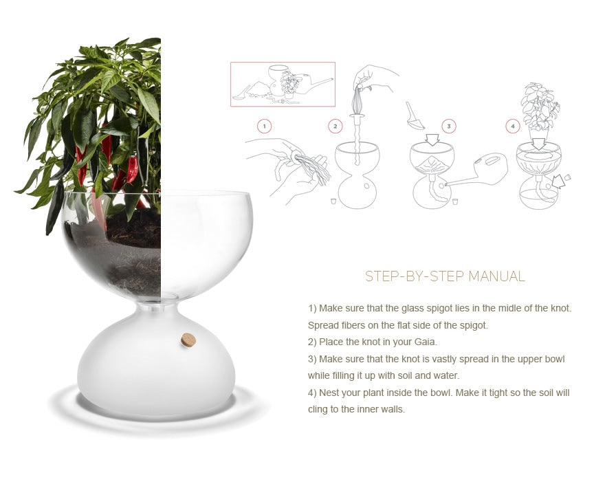 GAIA Plant Glass ガイアプラントグラス