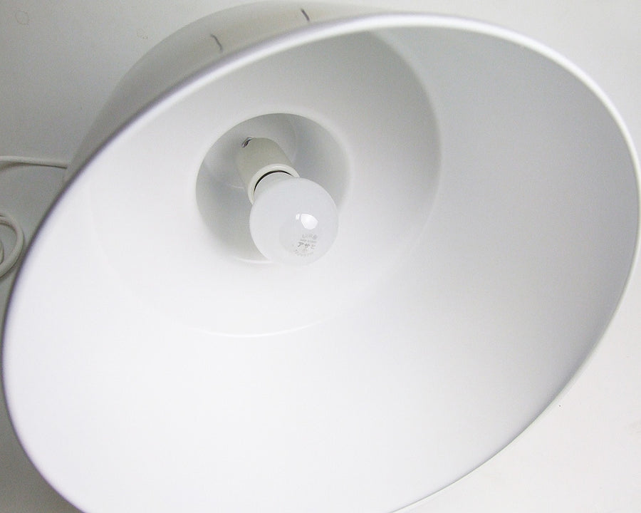Ceiling Lamp Gray シーリングランプ グレー