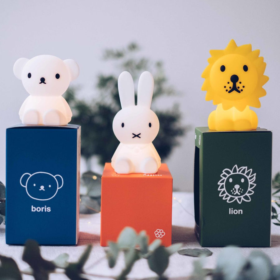 Bundle of Light Lion