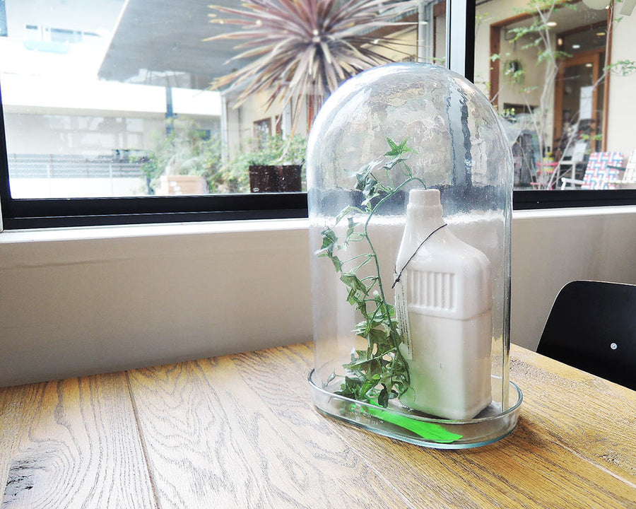 DISPLAY GLASS DOME ディスプレイガラスドーム