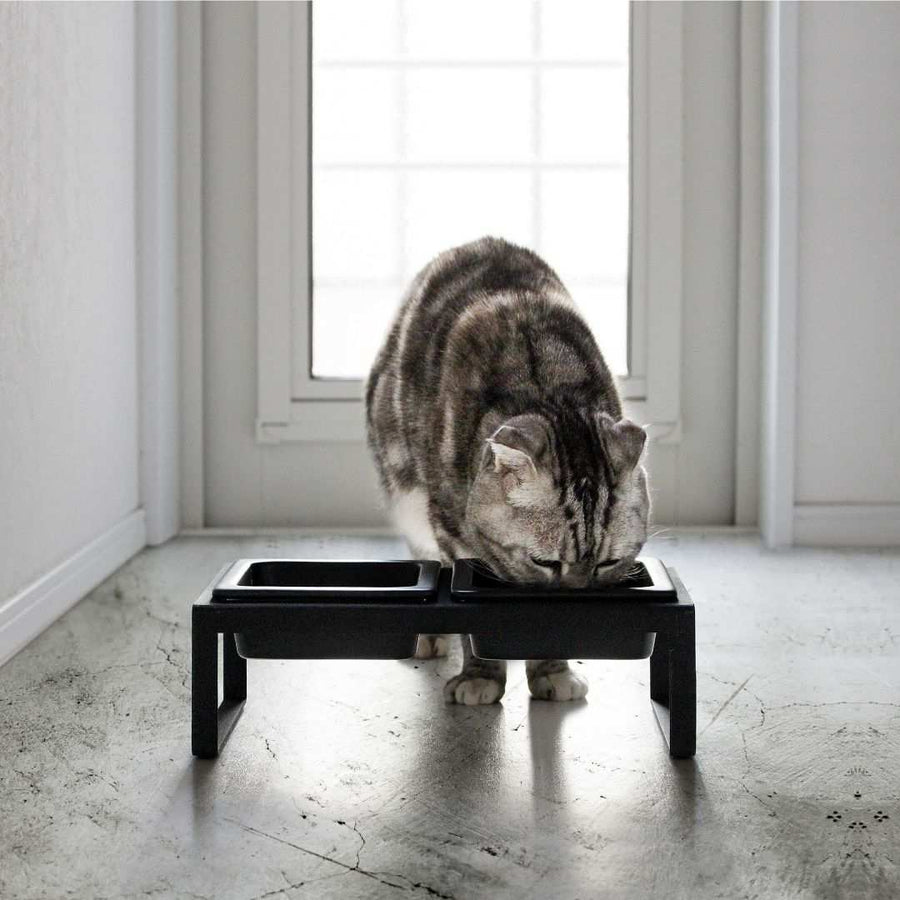 Tower Pet Food Bowl Set, Tall