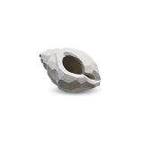 Sculpture The Pear Shell Limestone