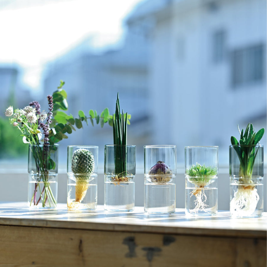 ガラスのある生活 ガラスの花器 クリア