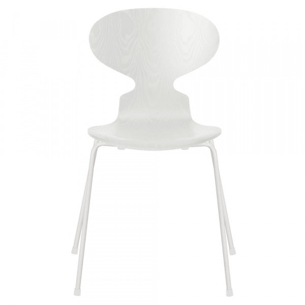ANT Ant Chair 3101 in Coloured Ash and White with White Legs