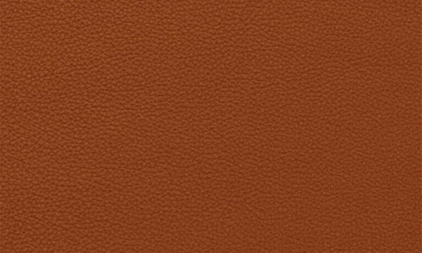 SWAN Swan Chair 3320 Essential Leather Category 3