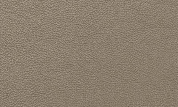 SWAN Swan Chair 3320 Essential Leather Category 3