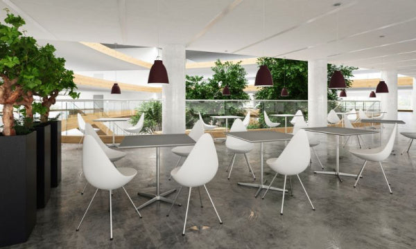 DROP Drop Chair SH46cm White x White Legs