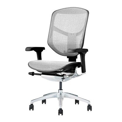 Work chair (Ergohuman EJ2-LAM WH/BF)