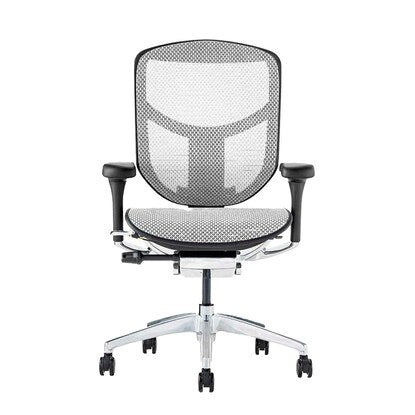 Work chair (Ergohuman EJ2-LAM WH/BF)