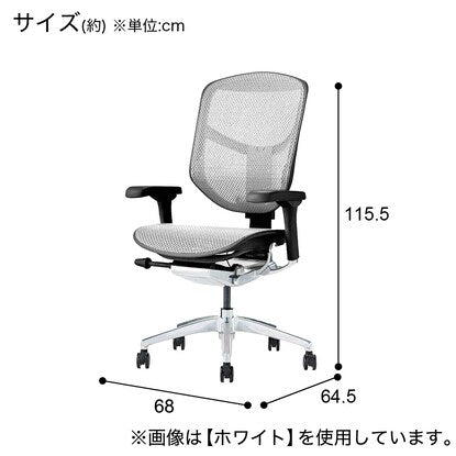 Work chair (Ergohuman EJ2-LAM WH/BF)