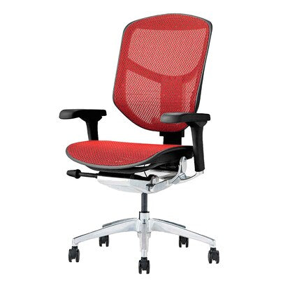 Work chair (Ergohuman EJ2-LAM RE/BF)