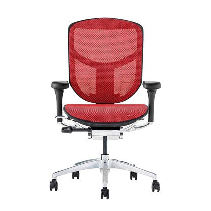 Work chair (Ergohuman EJ2-LAM RE/BF)