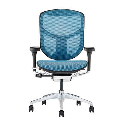 Work chair (Ergohuman EJ2-LAM BL/BF)