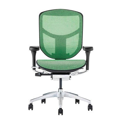 Work chair (Ergohuman EJ2-LAM GR/BF)