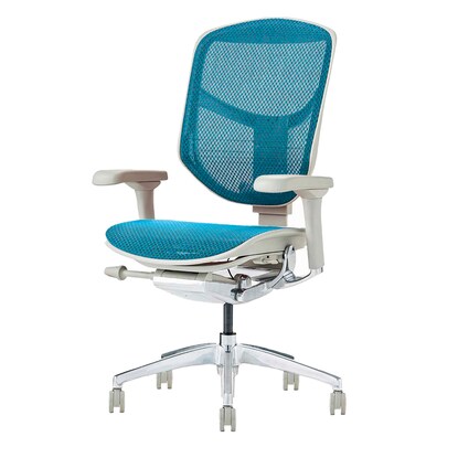 Work chair (Ergohuman EJ2-LAM BL/GF)