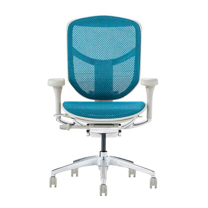 Work chair (Ergohuman EJ2-LAM BL/GF)