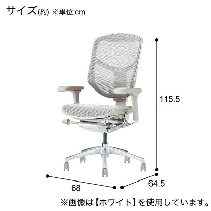 Work chair (Ergohuman EJ2-LAM BL/GF)