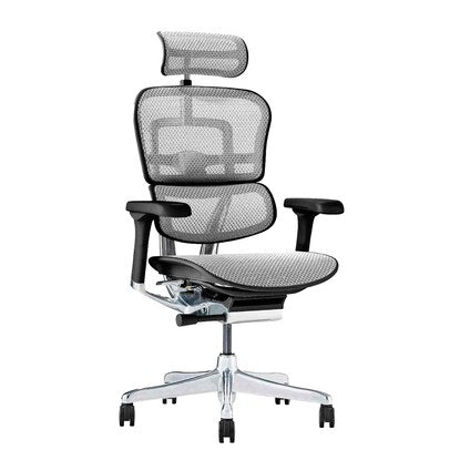 Work chair (Ergohuman EHP2-HAM WH/BF)