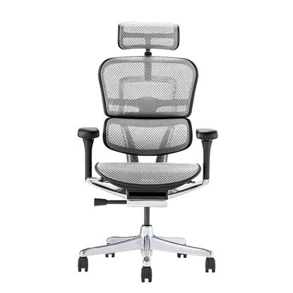 Work chair (Ergohuman EHP2-HAM WH/BF)