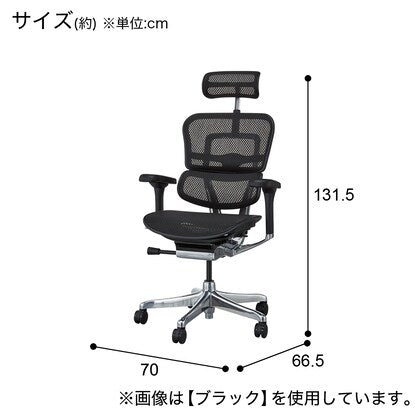 Work chair (Ergohuman EHP2-HAM WH/BF)