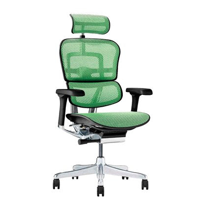 Work chair (Ergohuman EHP2-HAM GR/BF)