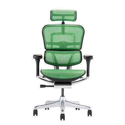 Work chair (Ergohuman EHP2-HAM GR/BF)