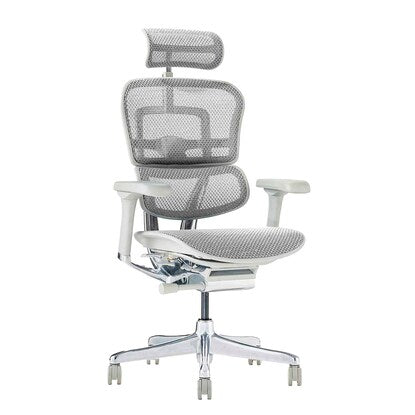 Work chair (Ergohuman EHP2-HAM WH/GF)