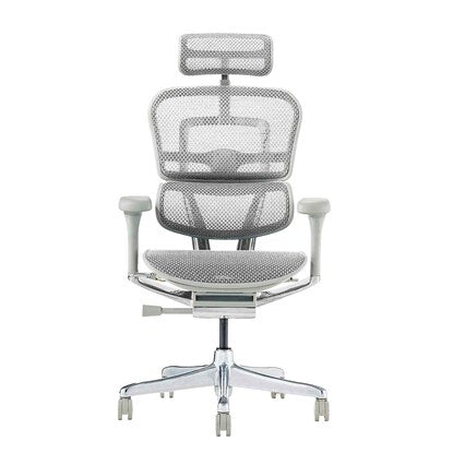 Work chair (Ergohuman EHP2-HAM WH/GF)