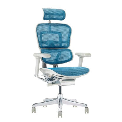 Work chair (Ergohuman EHP2-HAM BL/GF)