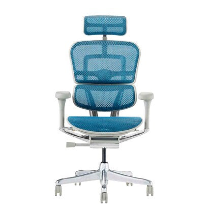 Work chair (Ergohuman EHP2-HAM BL/GF)