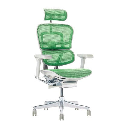 Work chair (Ergohuman EHP2-HAM GR/GF)