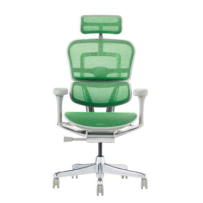 Work chair (Ergohuman EHP2-HAM GR/GF)