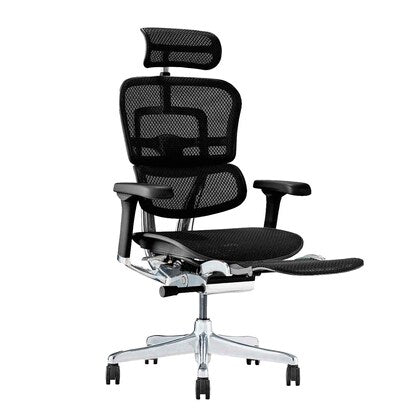 Work chair (Ergohuman EHP2-LPL BK/BF)