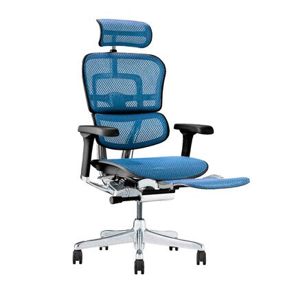 Work chair (Ergohuman EHP2-LPL BL/BF)