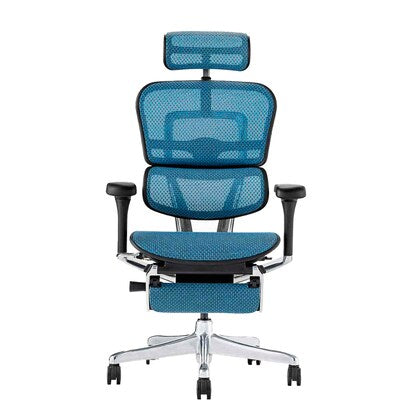 Work chair (Ergohuman EHP2-LPL BL/BF)