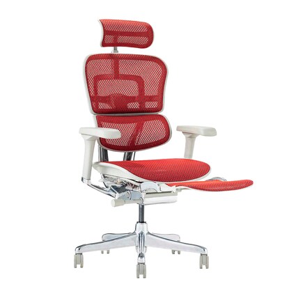 Work chair (Ergohuman EHP2-LPL RE/GF)