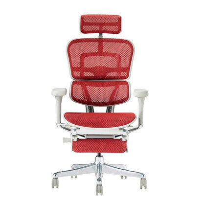 Work chair (Ergohuman EHP2-LPL RE/GF)