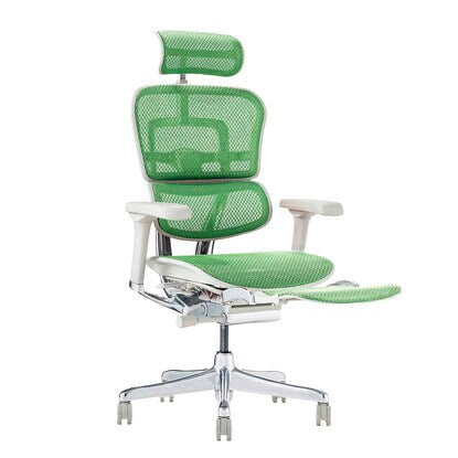 Work chair (Ergohuman EHP2-LPL GR/GF)