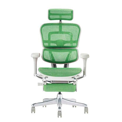 Work chair (Ergohuman EHP2-LPL GR/GF)