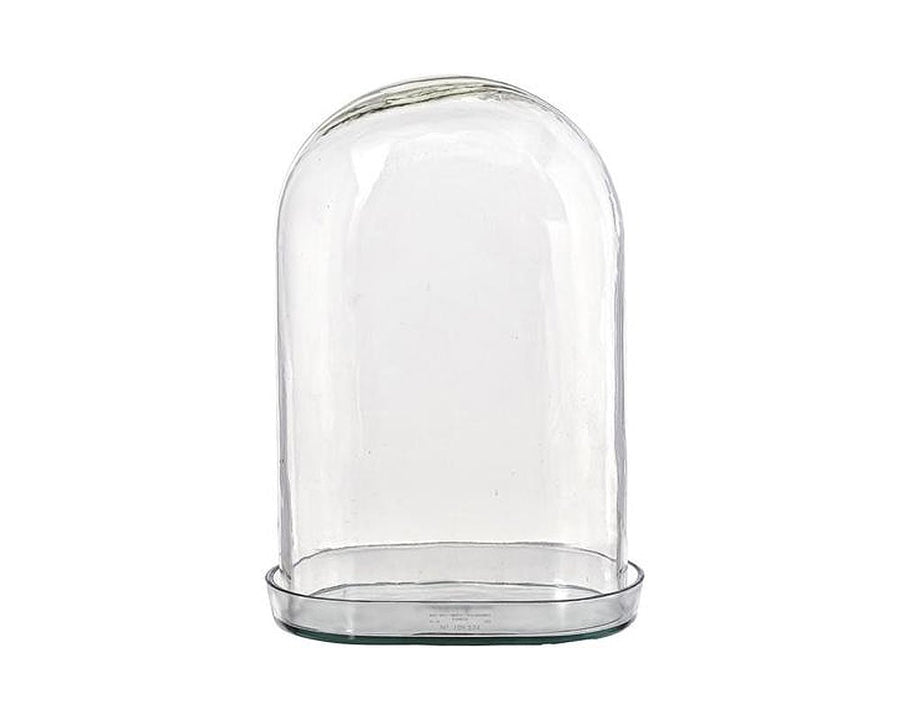 DISPLAY GLASS DOME ディスプレイガラスドーム