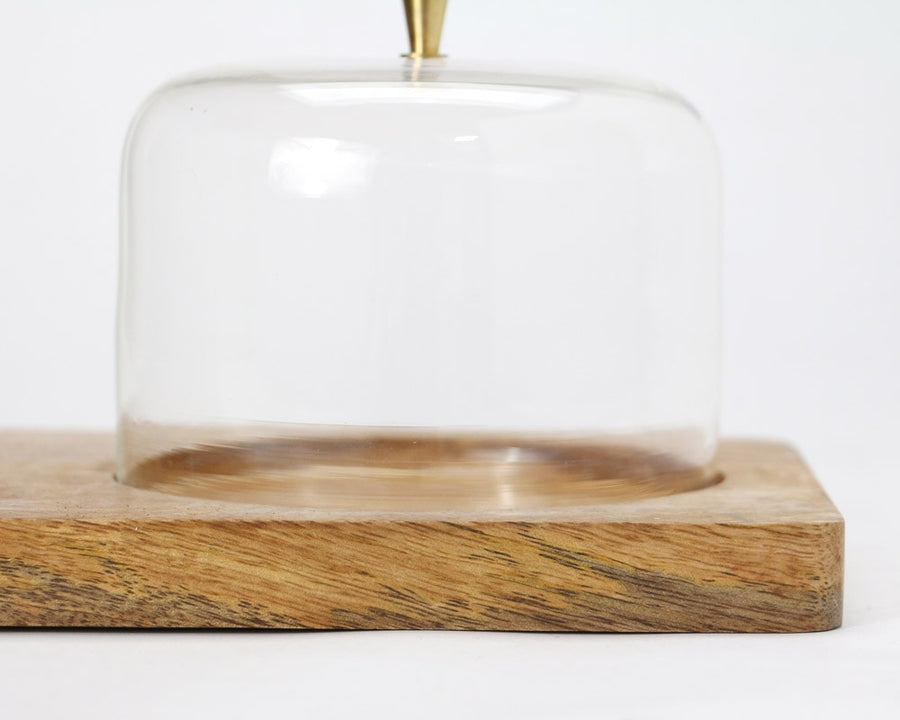 Glass Dome With Wood Plate S