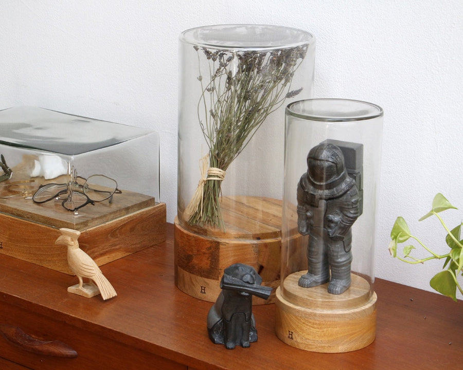 Glass Dome Cylinder ガラスドーム シリンダー WB-CYL-1