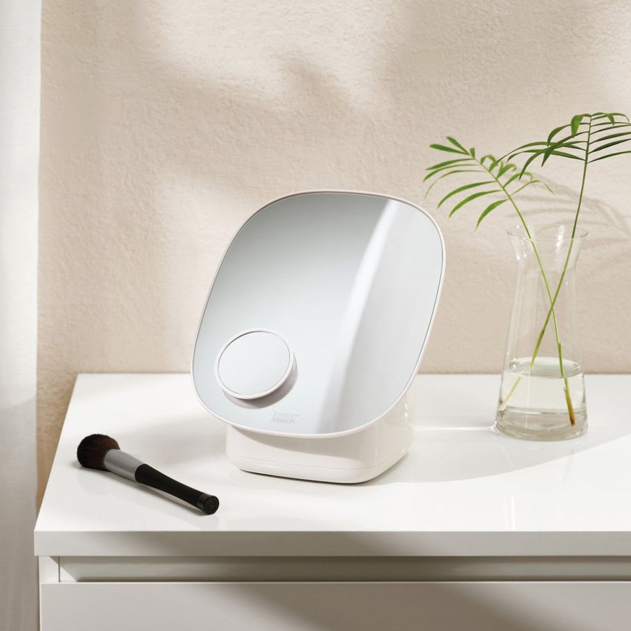 Cosmetic organizer with mirror
