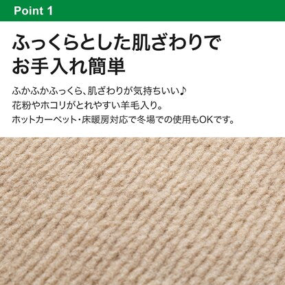 防音・防ダニ・抗菌防臭・防炎・消臭カーペット（Nキティン BE 4.5J）