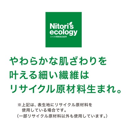 防音・防ダニ・抗菌防臭・防炎・消臭カーペット（Nキティン BE 4.5J）