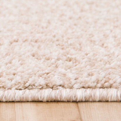 Antibacterial and deodorizing carpet (KPB shaggy BE 185 x 185)