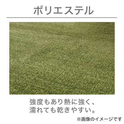 Antibacterial and deodorizing carpet (KPB shaggy BE 185 x 185)