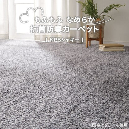 Antibacterial and deodorizing carpet (KPB shaggy BE 185 x 185)