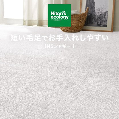 Carpet (NS Shaggy GY 200 x 240)