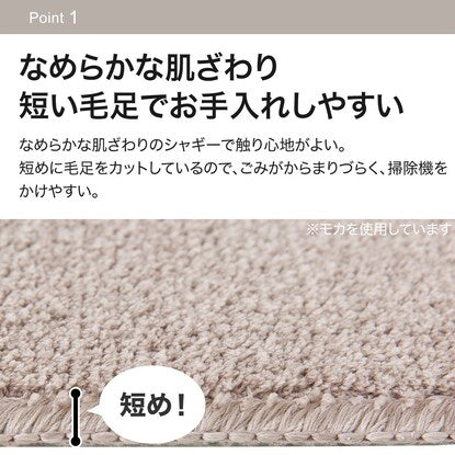 Carpet (NS Shaggy GY 200 x 240)